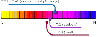 Acidosis - Body pH Imbalance